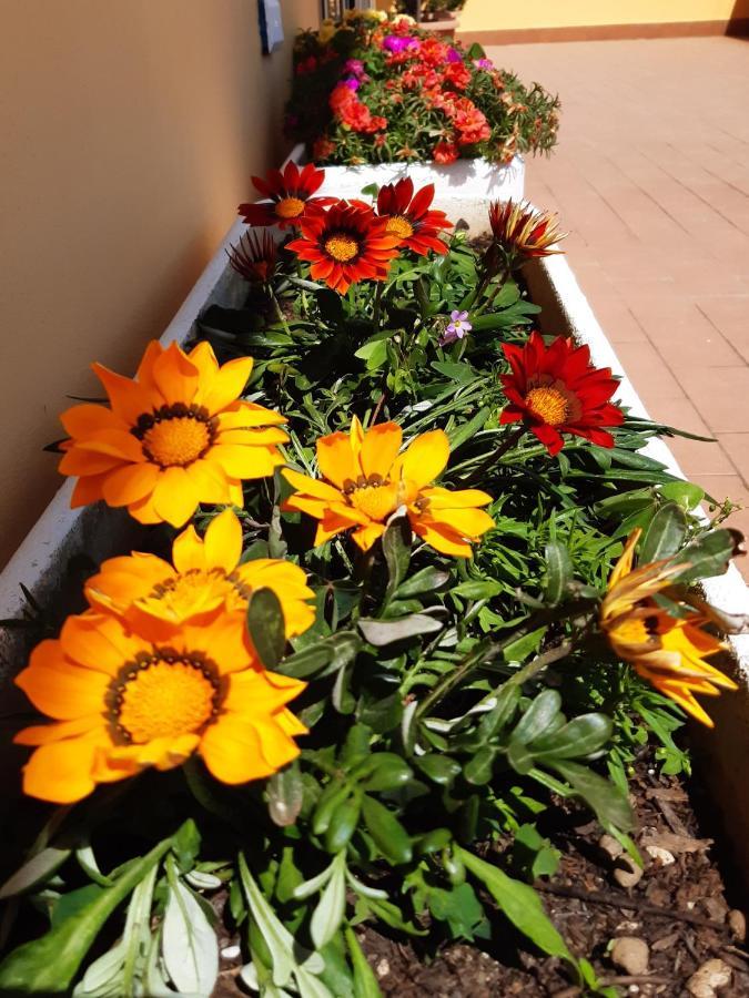 Apartamento La Terrazza Sul Mare Montesilvano Marina Exterior foto